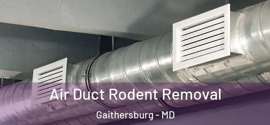  Air Duct Rodent Removal Gaithersburg - MD