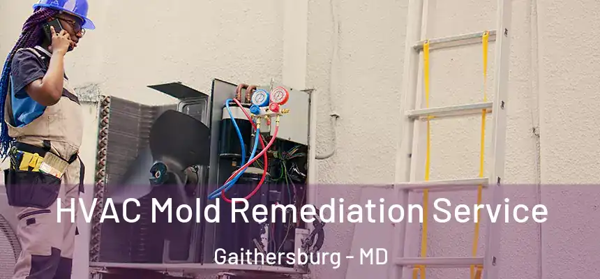  HVAC Mold Remediation Service Gaithersburg - MD
