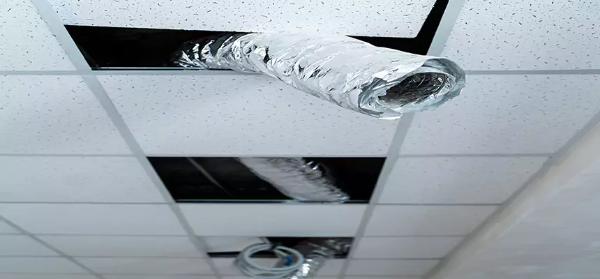 Affordable HVAC Sanitizing After Pest Removal in Gaithersburg