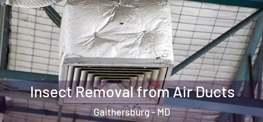  Insect Removal from Air Ducts Gaithersburg - MD
