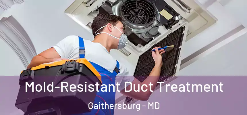  Mold-Resistant Duct Treatment Gaithersburg - MD