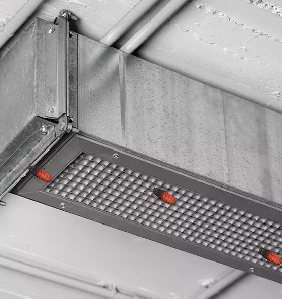About Air Duct Cockroach Removal in Gaithersburg, MD