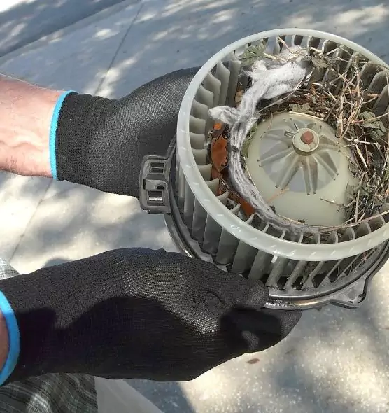 About Air Duct Mice Removal in Gaithersburg, MD