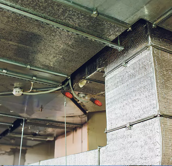 Why Homeowners & Businesses Trust Us in Gaithersburg, MD?